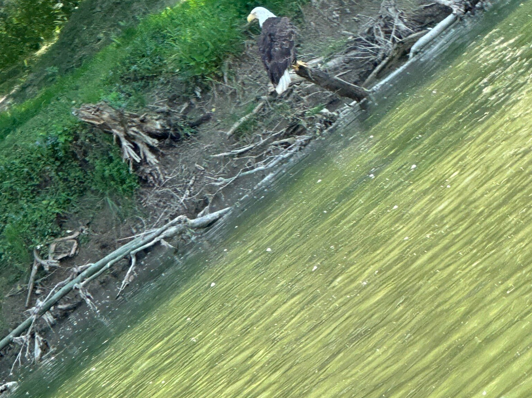 Green Acres Kayak Rental-Harrison必去景点