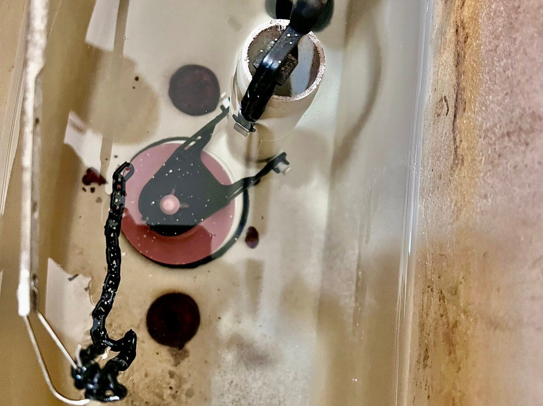 Comfort Suites Rochester Henrietta University Area主图