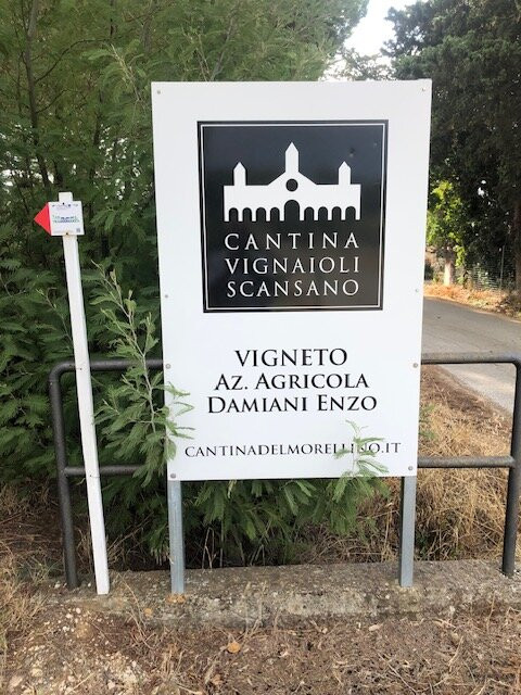 Agriturismo il Gaggiolo主图