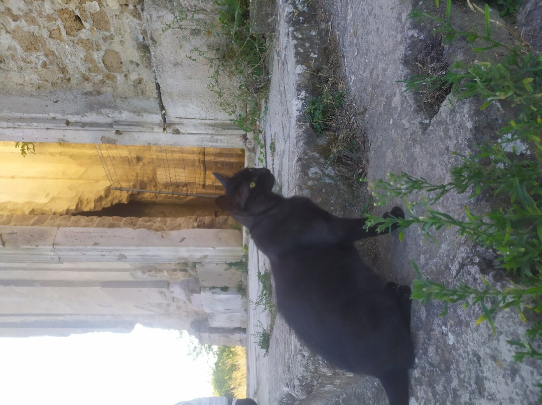 Rovine Canale Monterano-Canale Monterano必去景点