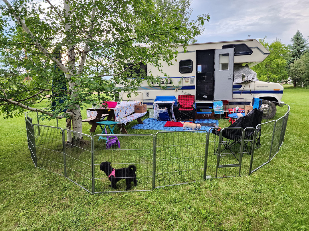 Evergreen Birch Lodge and Resort主图