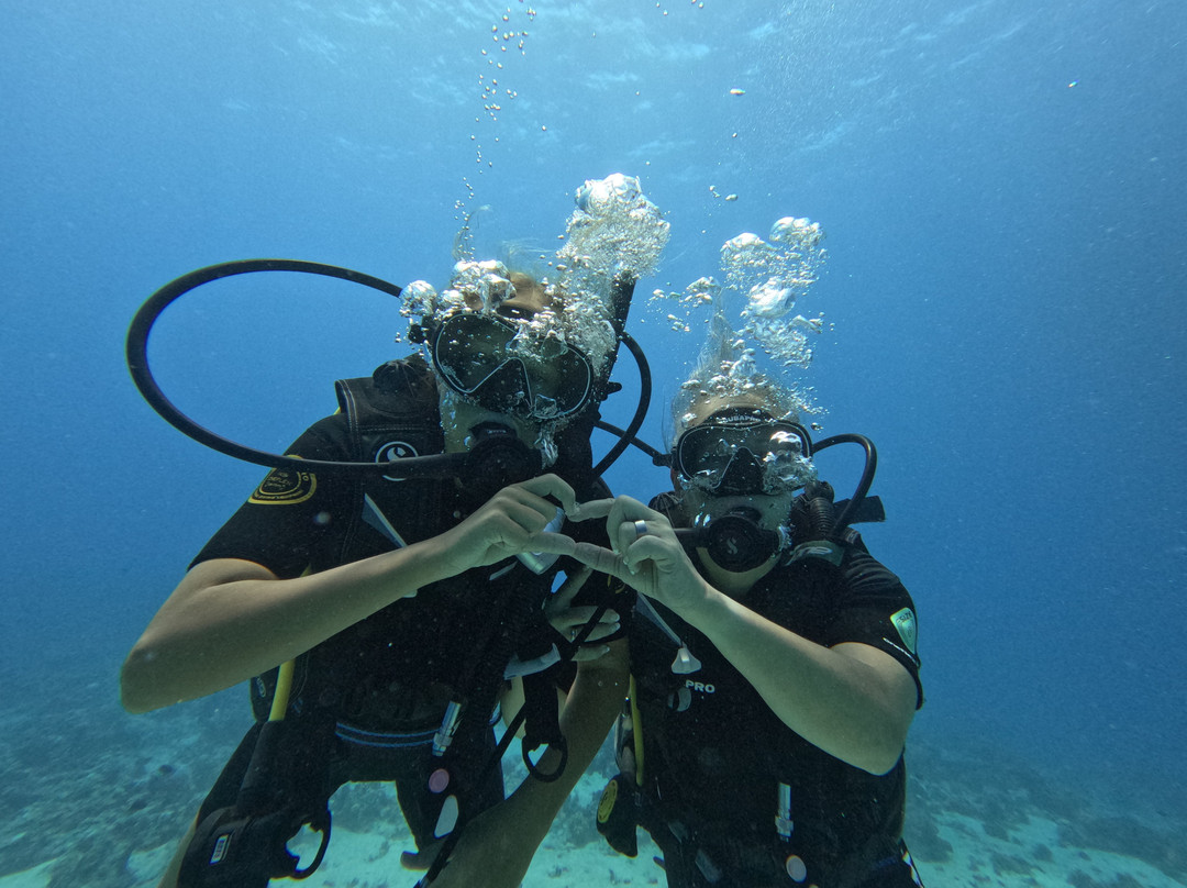Scuba World Divers Soma Bay-艾尔可西利亚必去景点