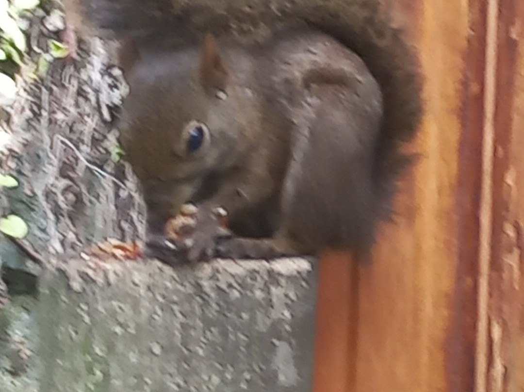 Parque Estadual de Ilhabela-伊利亚贝拉必去景点