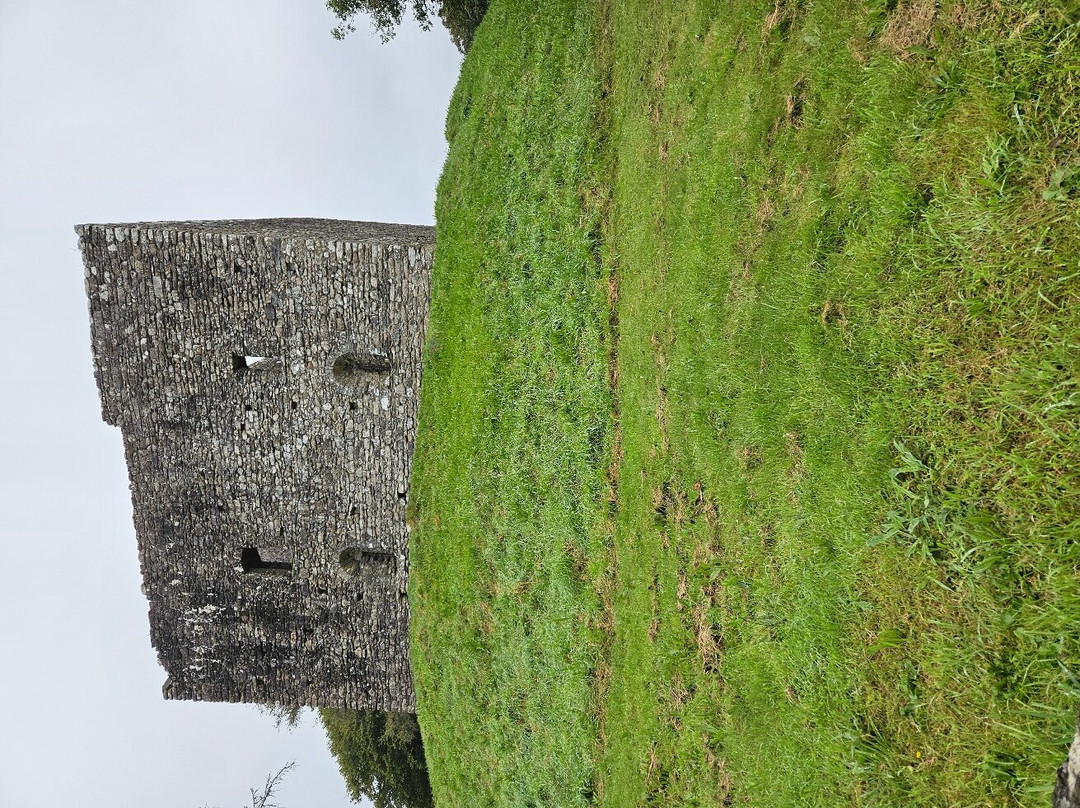 Lydford Castle & Saxon Town景点图片