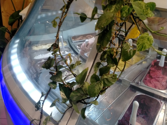 Merci' Gelati & Co-切塞纳蒂科必去景点