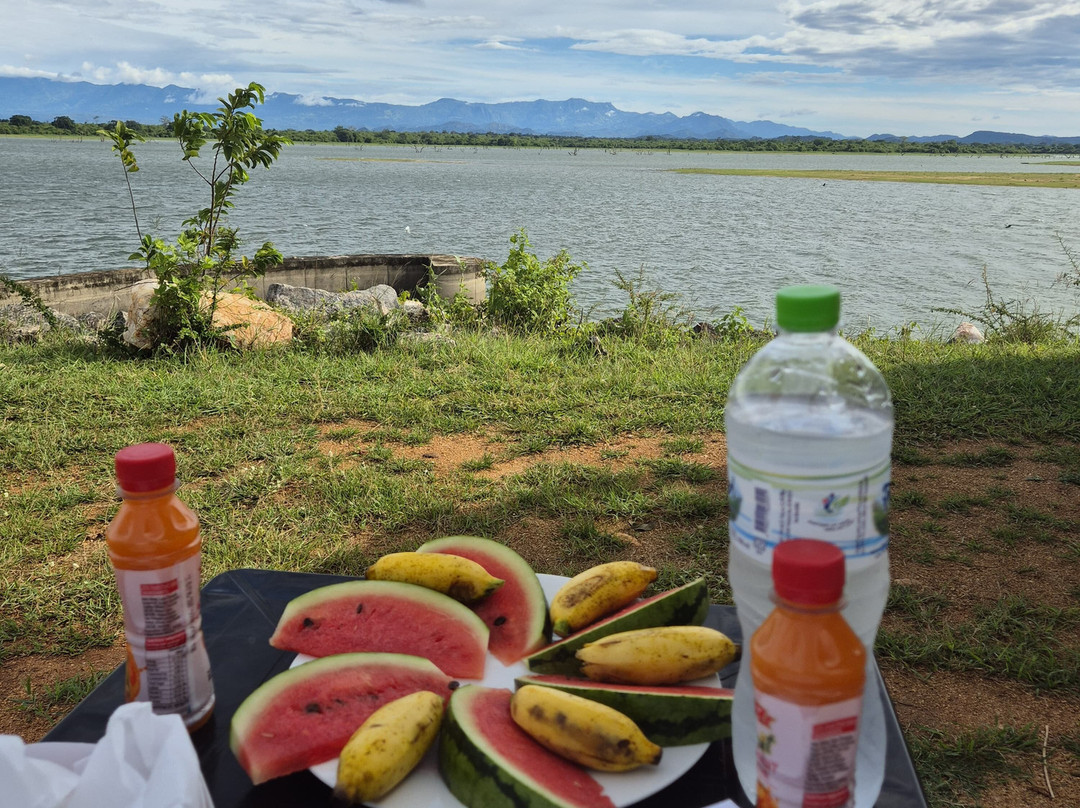 Wild Vibes Safari Tours Udawalawe-乌达瓦拉瓦必去景点