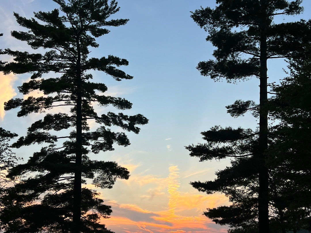 Lake Antoine Park景点图片