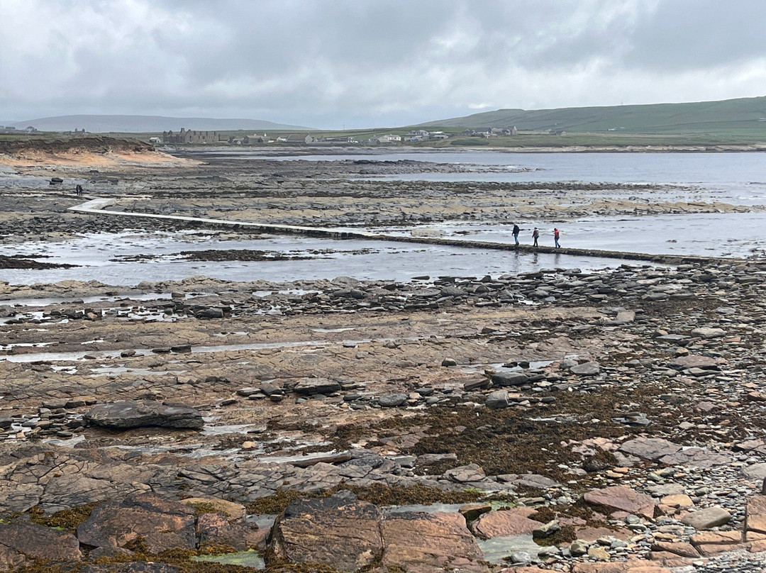 Brough Of Birsay-Birsay必去景点