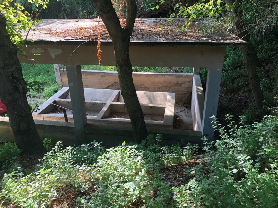 Il Vecchio Lavatoio-Cologna Paese必去景点