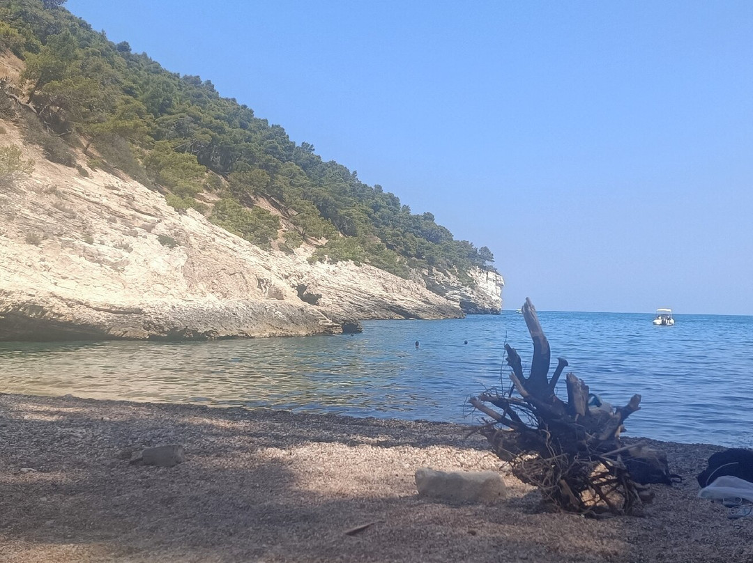 Cala della Pergola-维耶斯泰必去景点