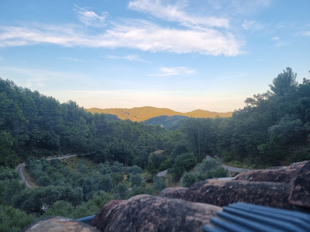 Olives-en-Provence-Belgentier必去景点