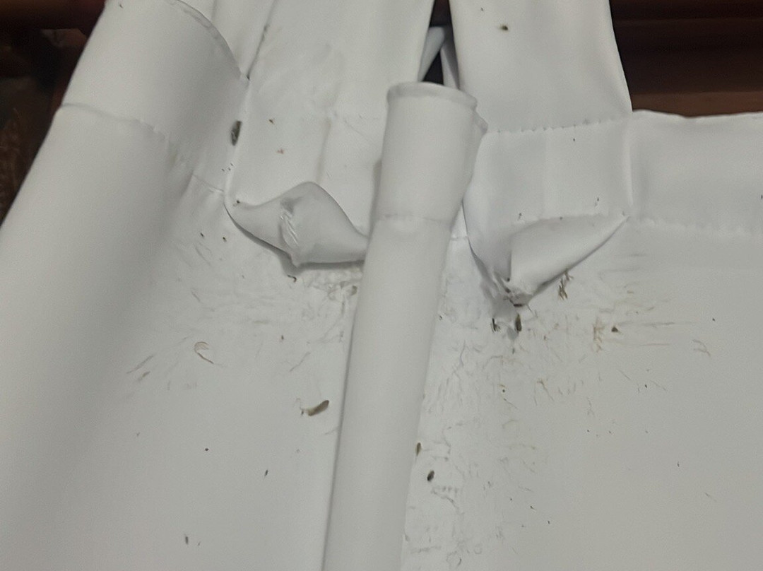 Hotel Los Origenes主图