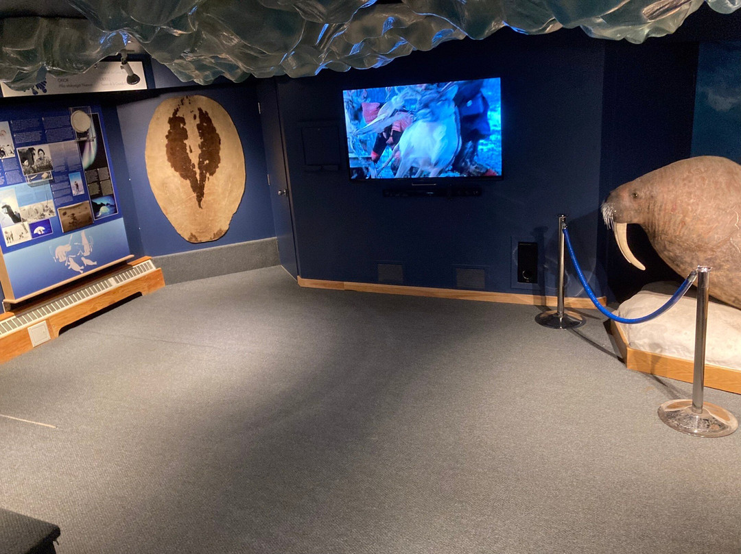 Unikkaarvik Visitor Centre-Iqaluit必去景点