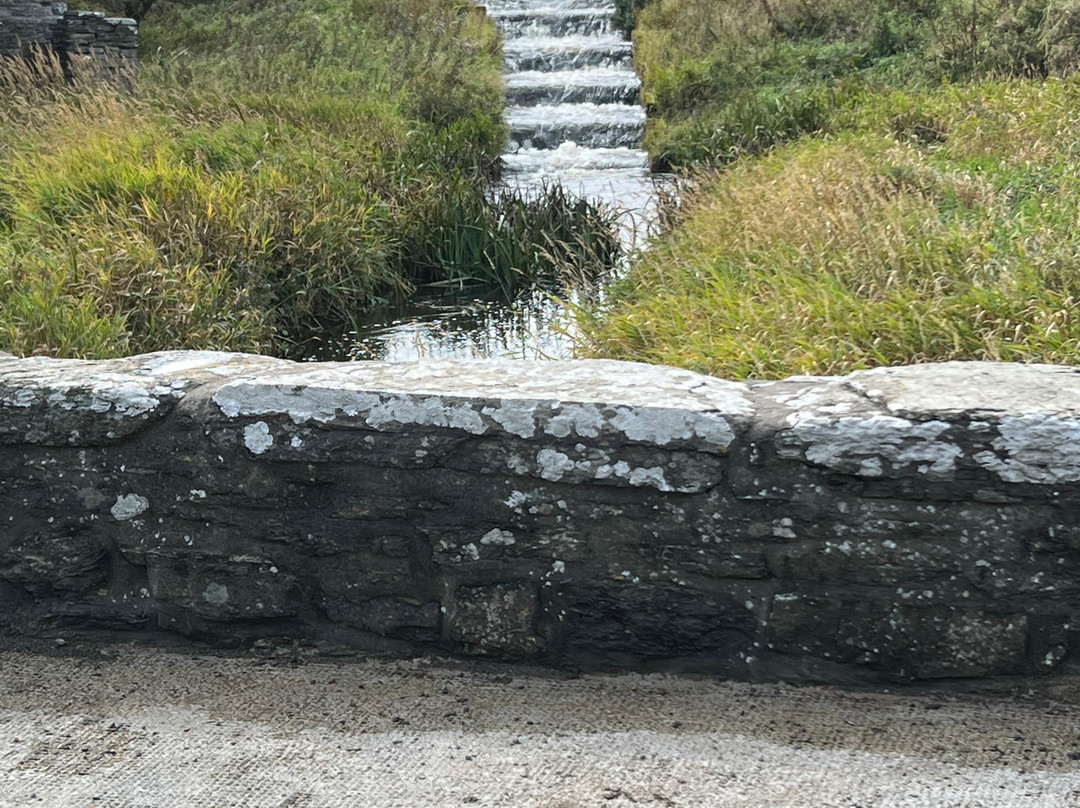 Above and Beyond Tours of Caithness景点图片