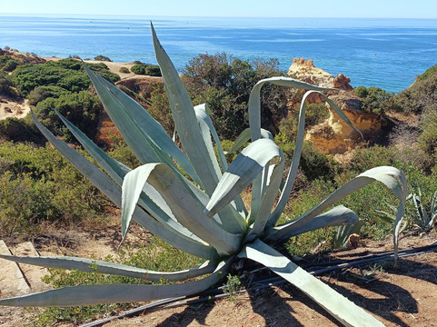 Portitours-波尔蒂芒必去景点