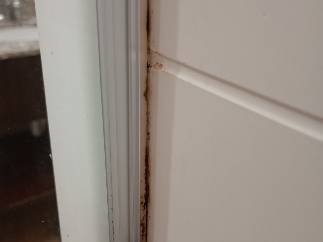 La Quinta Inn & Suites by Wyndham Detroit Metro Airport主图