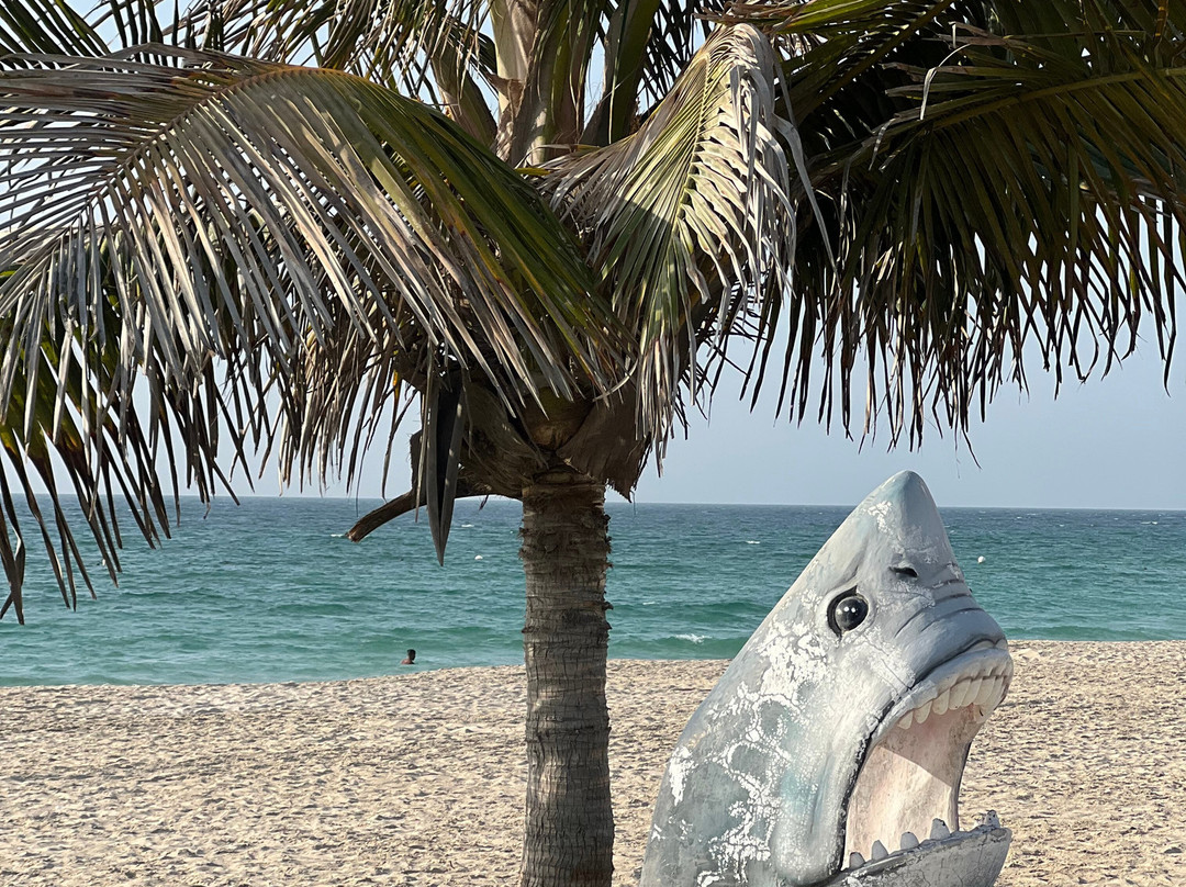 Umm Al Qwain Open Beach-乌姆盖万必去景点