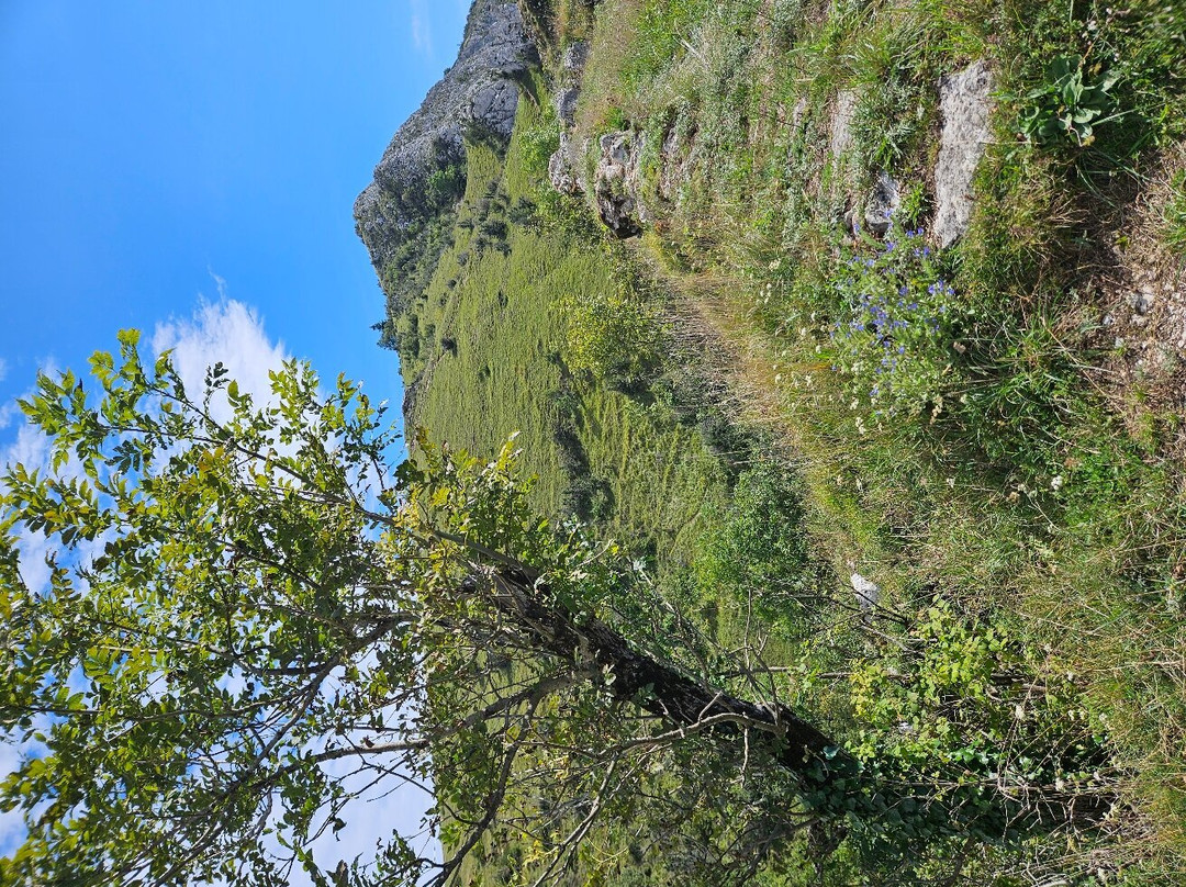 Chateau de Roquefixade-Occitanie必去景点