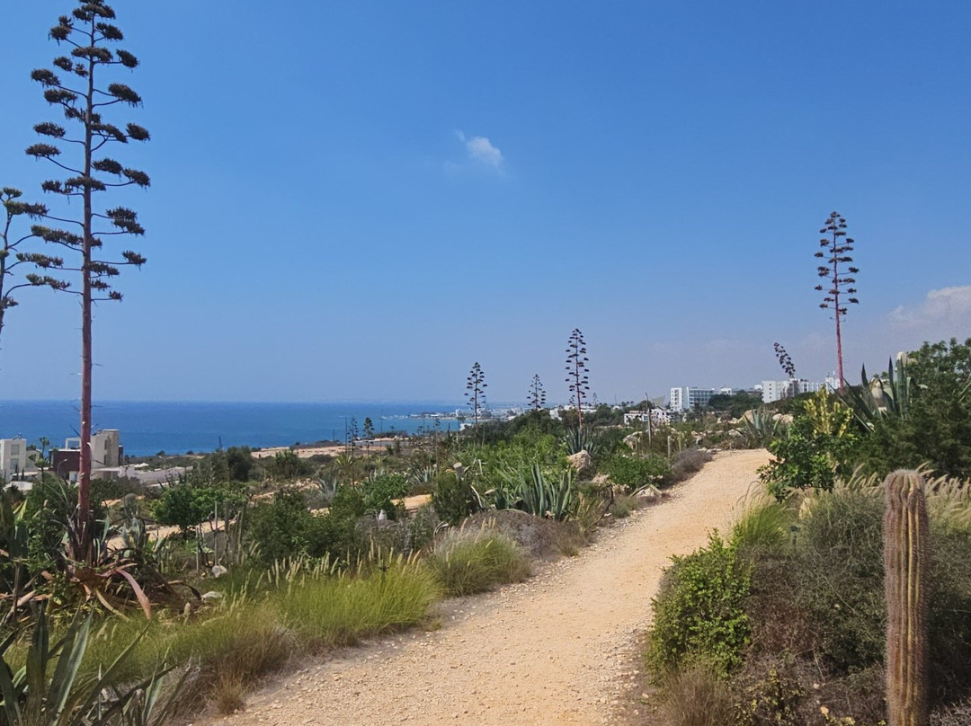 Ayia Napa Cactus Park-阿依纳帕必去景点