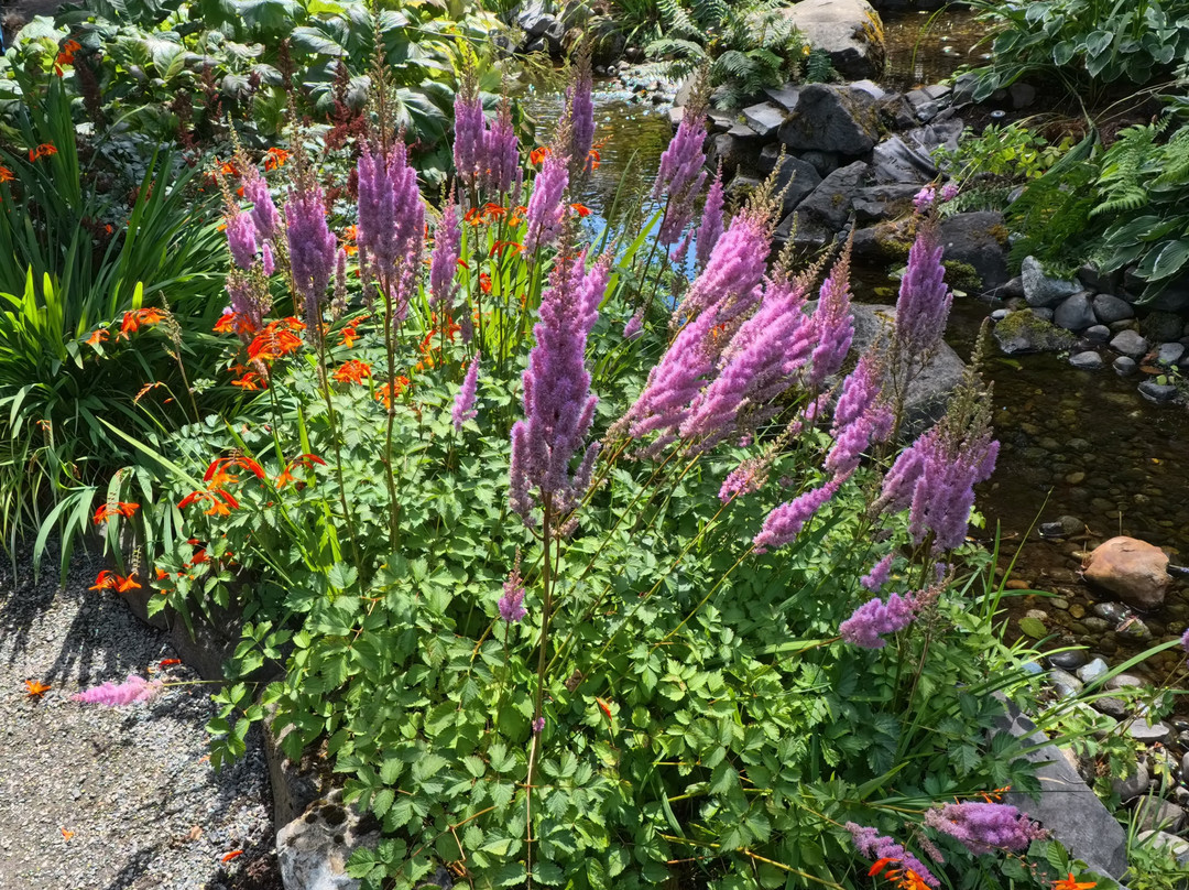 Highline SeaTac Botanical Gardens景点图片
