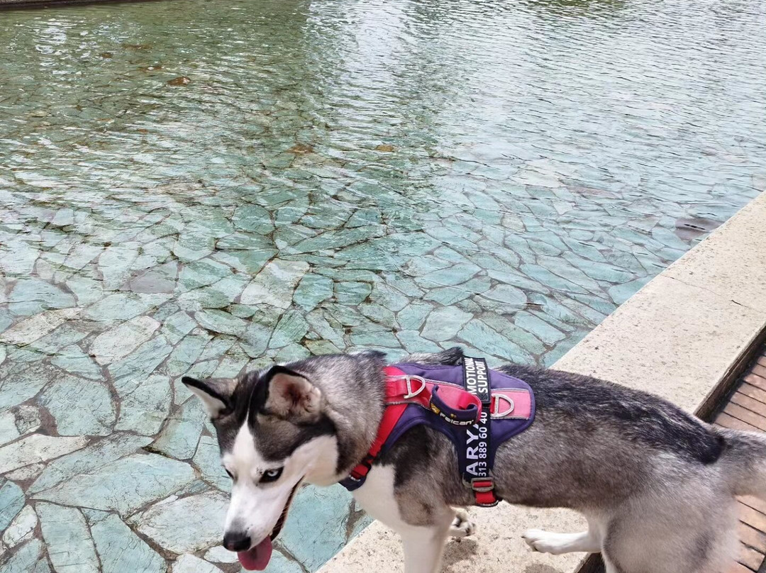 Biblioteca Virgilio-波哥大必去景点