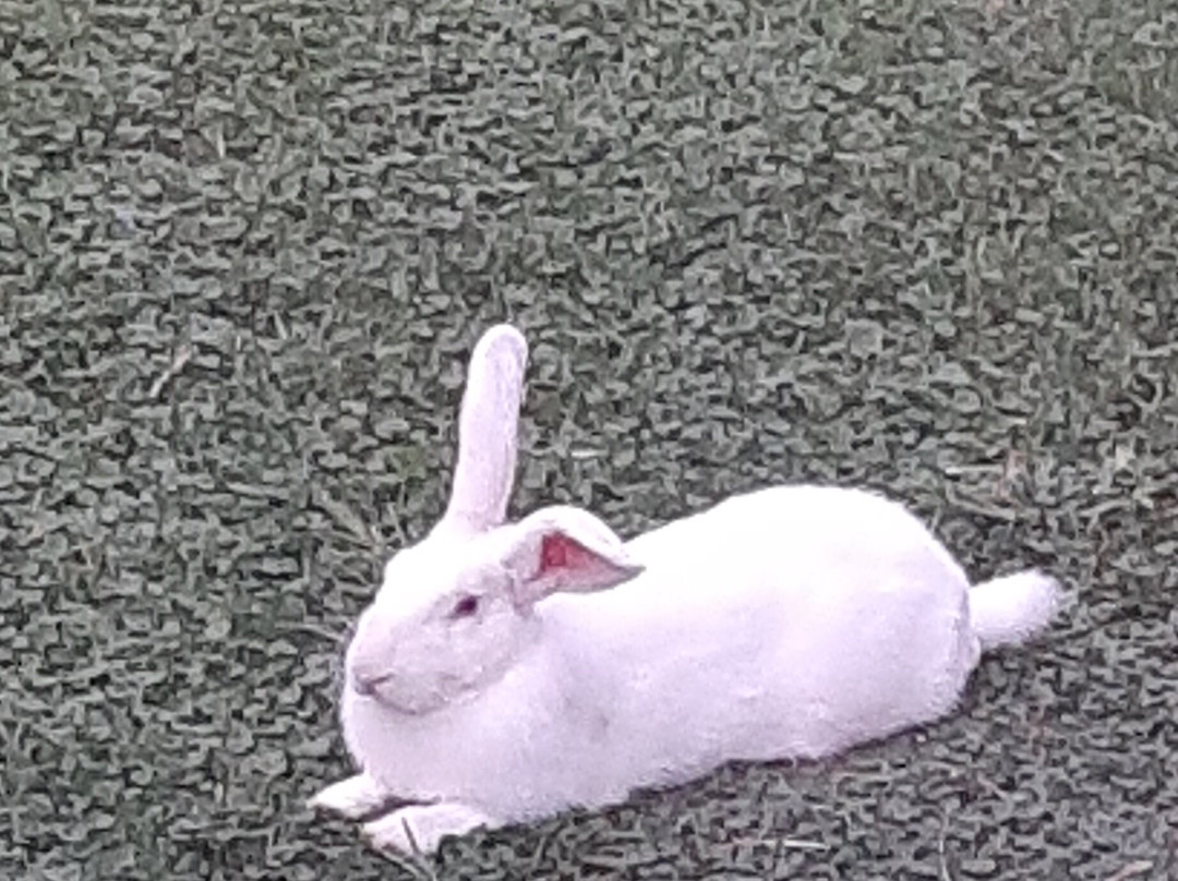 Ma Biche Kemer By Werde Hotels