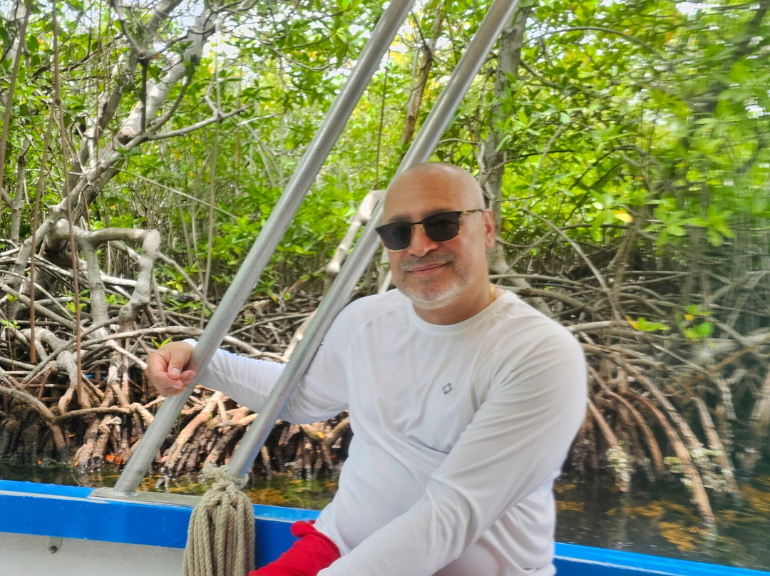 Aleli Tours - Day Tours-La Parguera必去景点