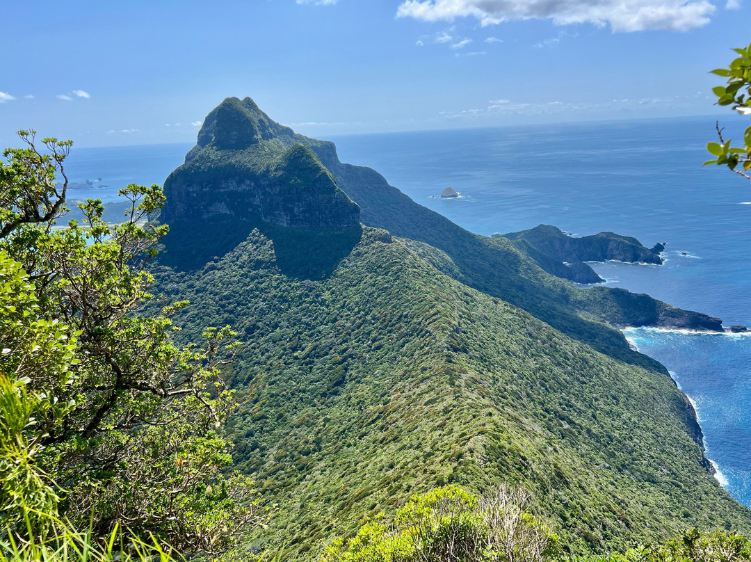 Mt Gower-豪勋爵群岛必去景点
