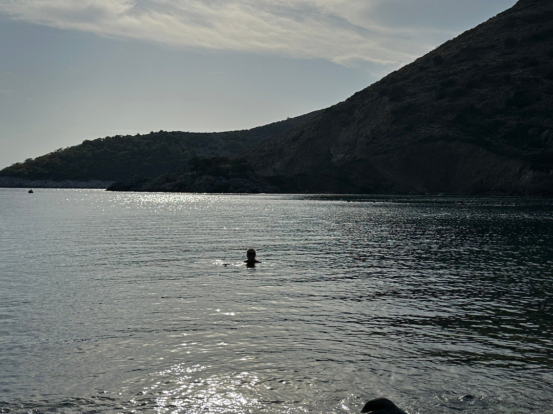 Agios Nikolaos Beach景点图片