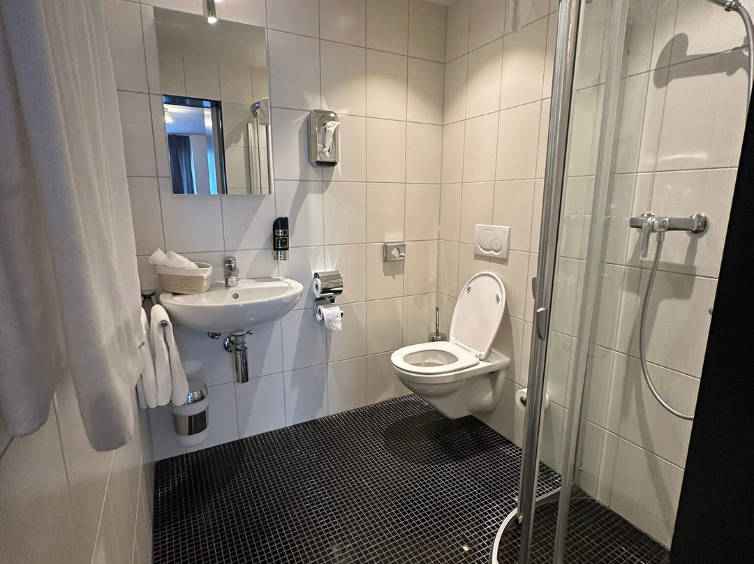 Hotel Weisses Roessli主图