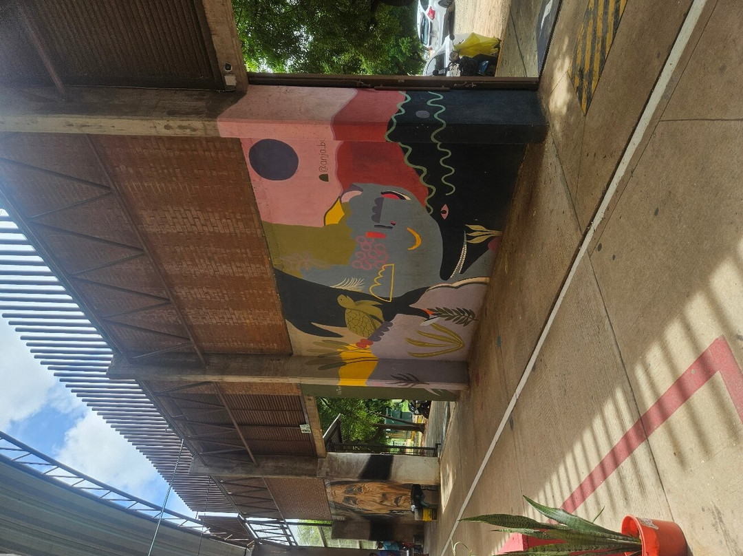 Mercado Zicatela-埃斯孔迪多港必去景点