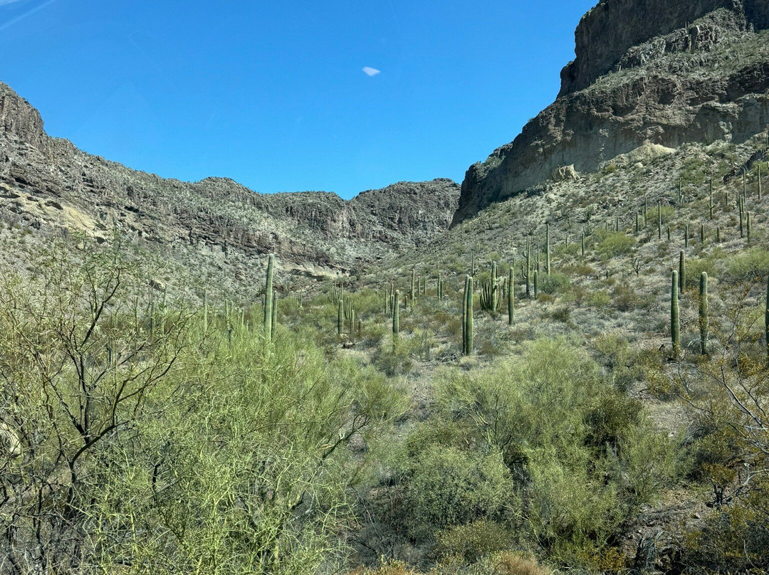 Organ Pipes National Park-凯乐尔必去景点