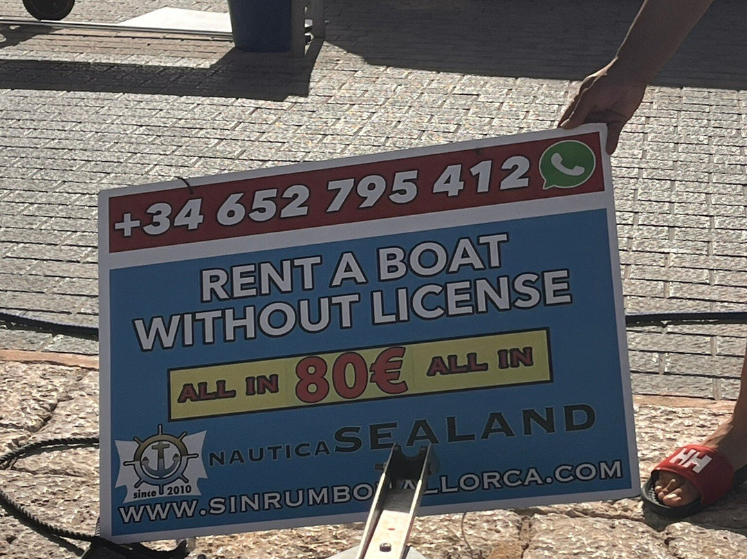 Nautica Sealand - Sin Rumbo Mallorca-Port d'Andratx必去景点