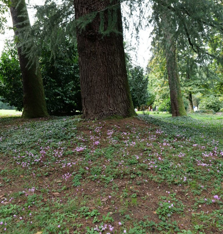 Parco Villa Rizzani-Pagnacco必去景点