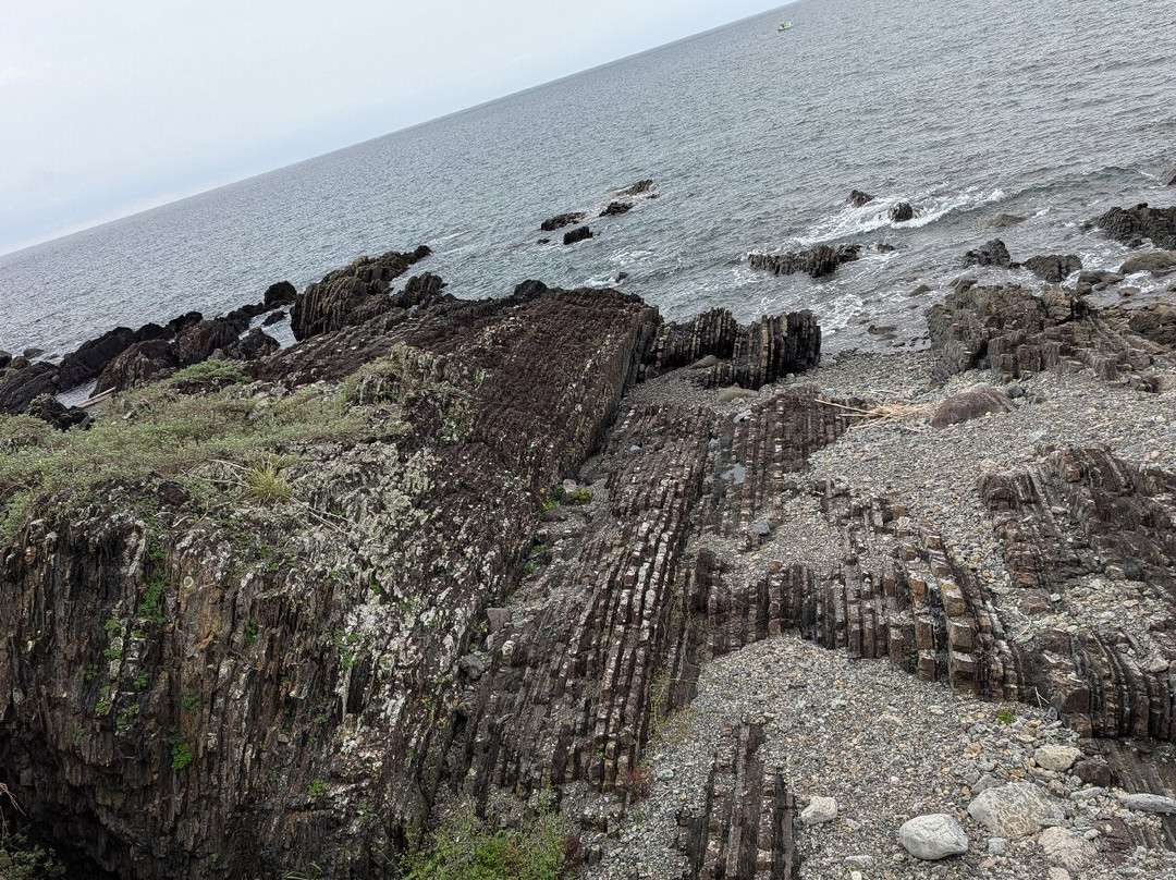 Whale Museum-室户市必去景点