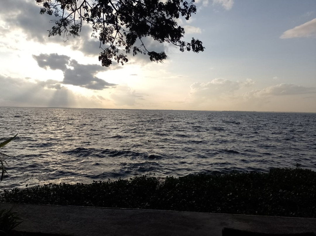 Gokulam Grand Resort & Spa, Kumarakom主图