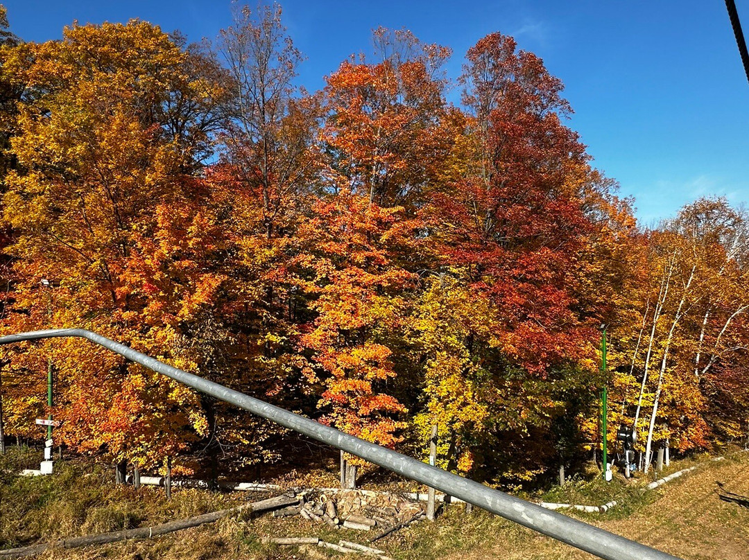 Rib Mountain State Park-Wausau必去景点