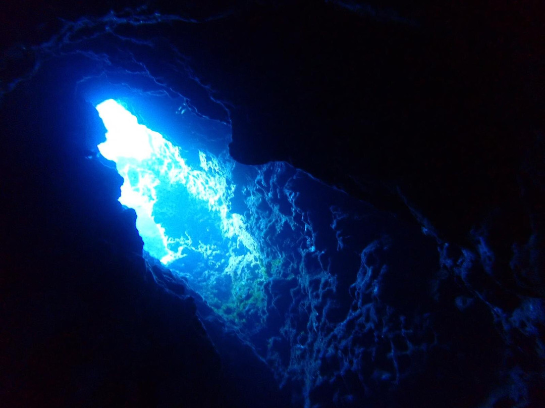 Dwejra Divers-圣劳伦斯必去景点