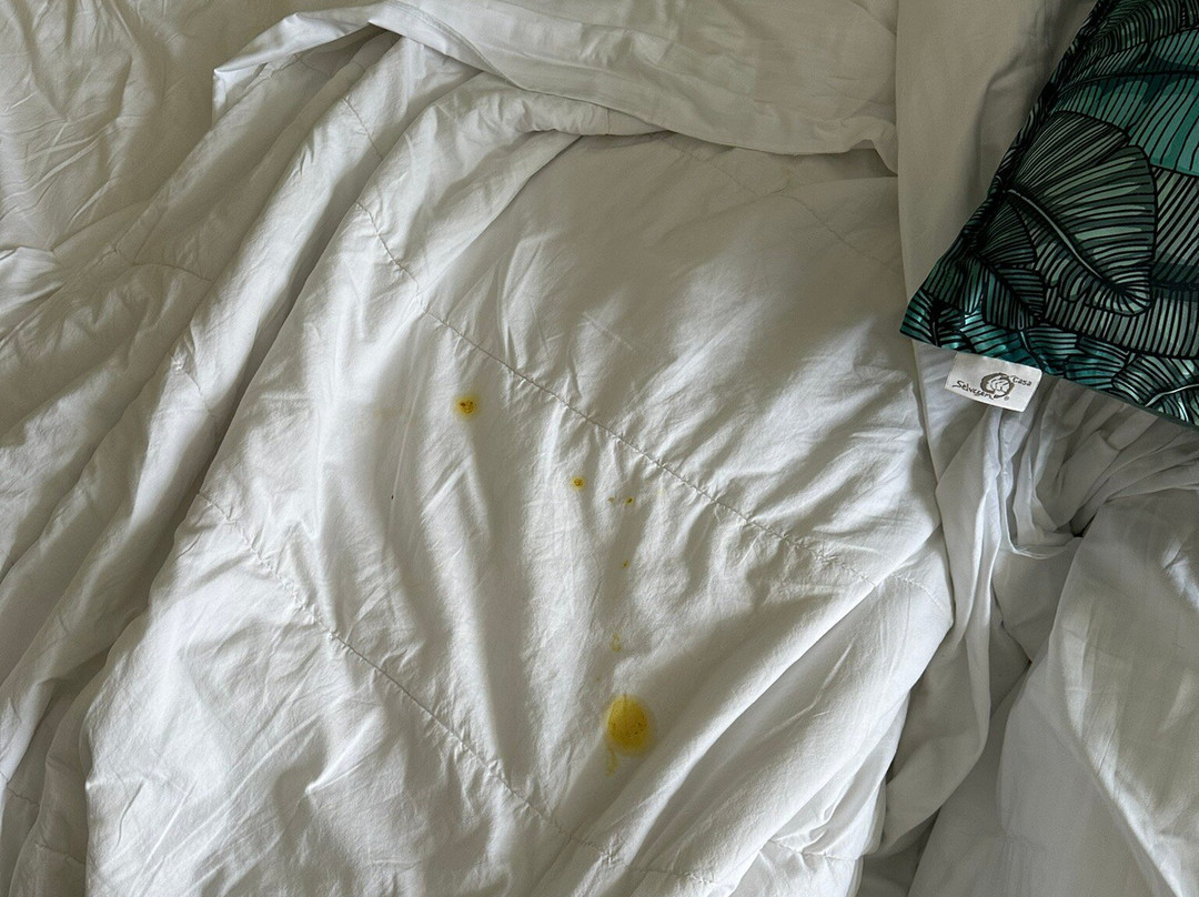 拉芬卡高尔夫水疗度假酒店主图