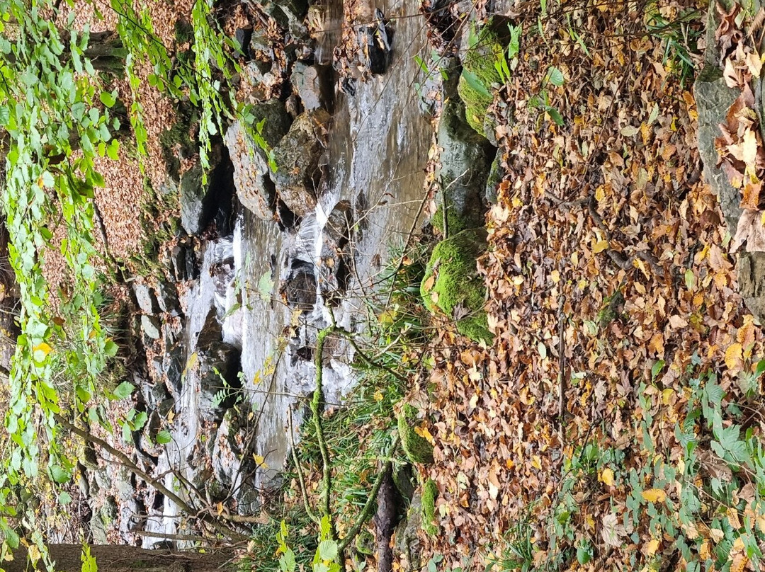 Ninglinspo景点图片