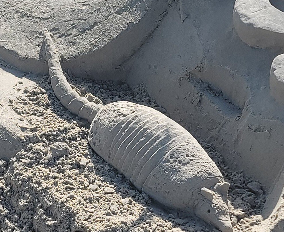 Texas SandFest-阿兰瑟斯港必去景点