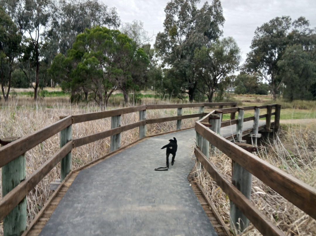 Goondiwindi Botanic Gardens of the Western Woodlands景点图片