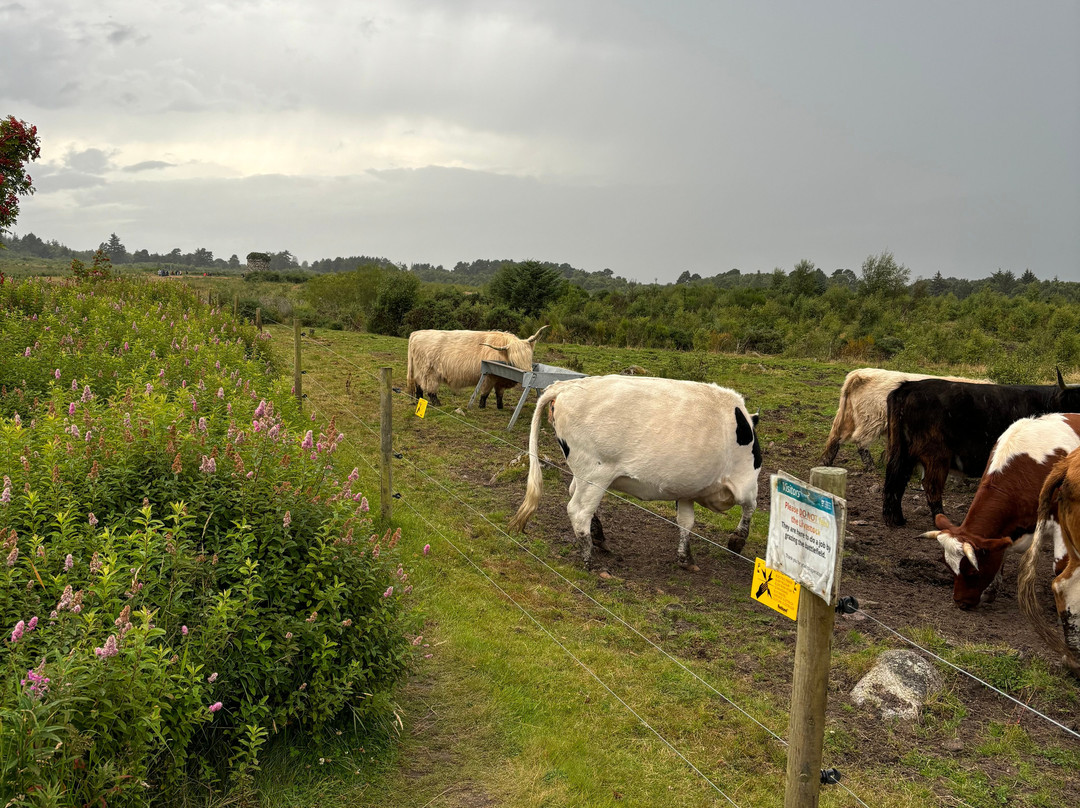 Highland-Excursions-因弗内斯必去景点