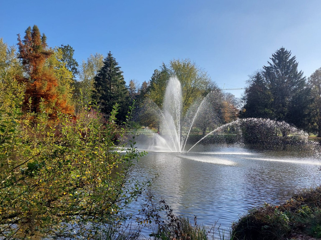 Kneipp- und WellVitalhotel Edelweiss主图