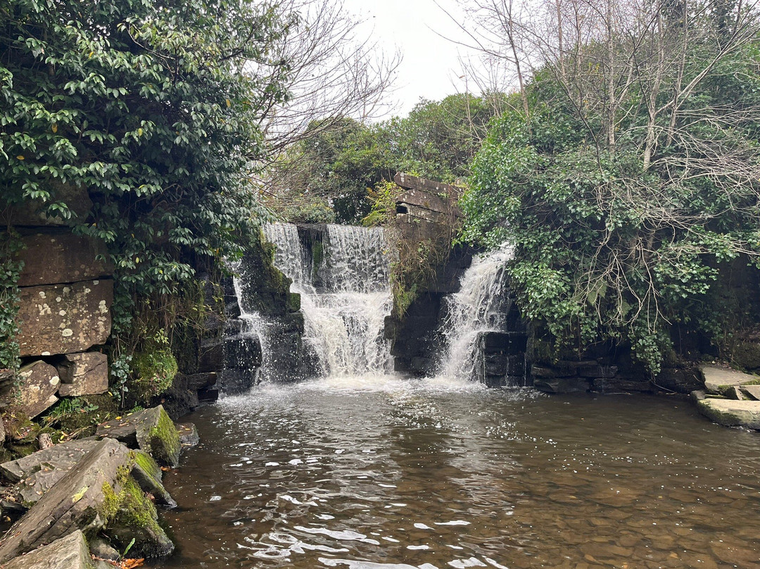 Penllergare Valley Woods景点图片