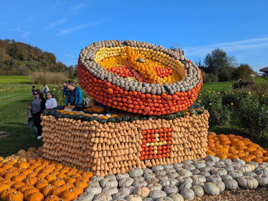 Römerhof, Juckerfarm AG-克洛滕必去景点