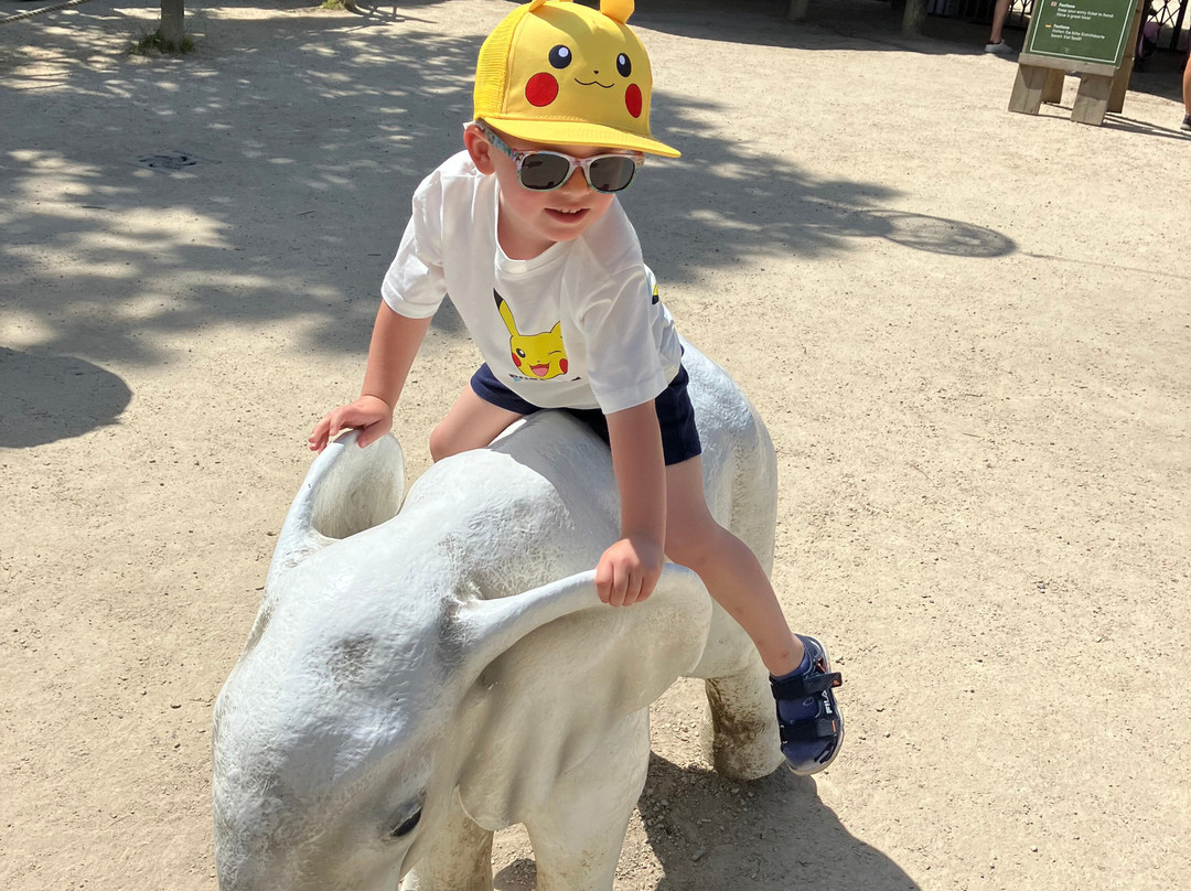 Beekse Bergen Safari Park-希尔法伦贝克必去景点