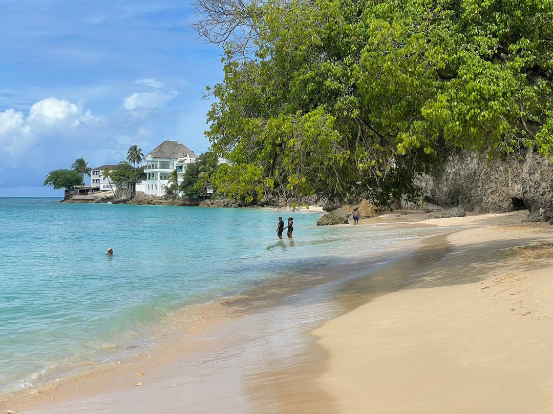Batts Rock Beach-布里奇顿必去景点