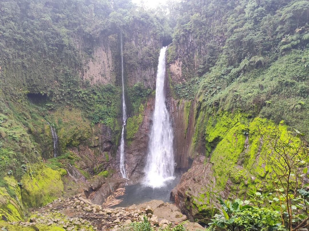 Catarata Del Toro景点图片