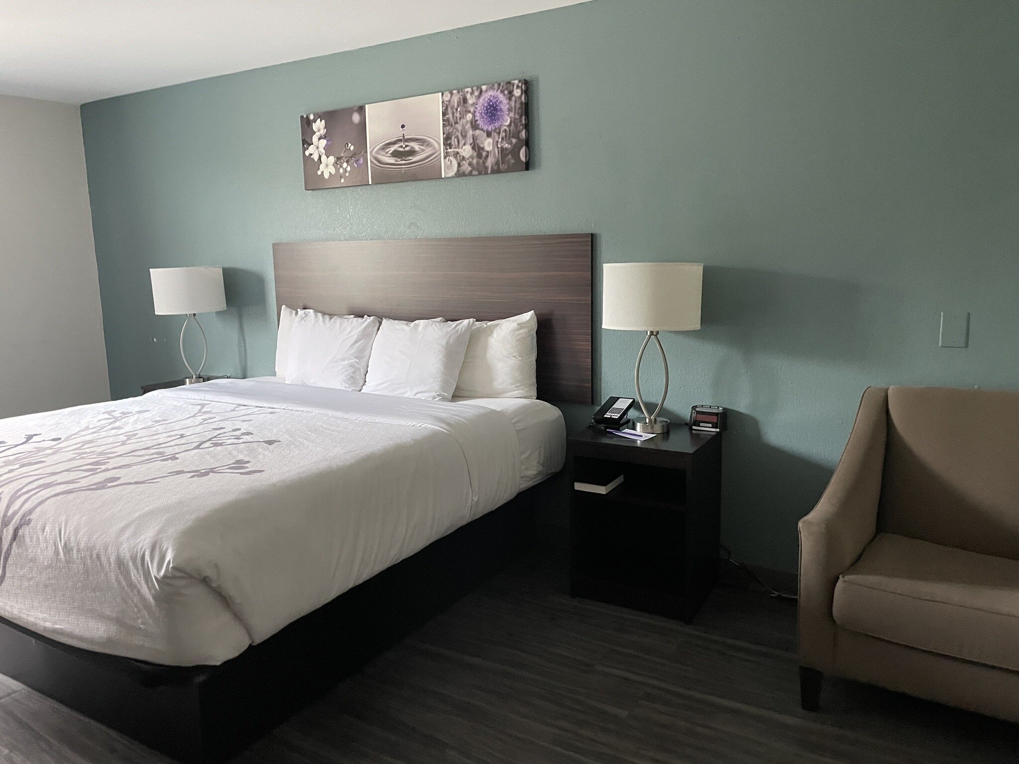 Sleep Inn & Suites-官方